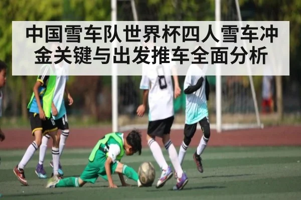 中国雪车队世界杯四人雪车冲金关键与出发推车全面分析 - kaiyun